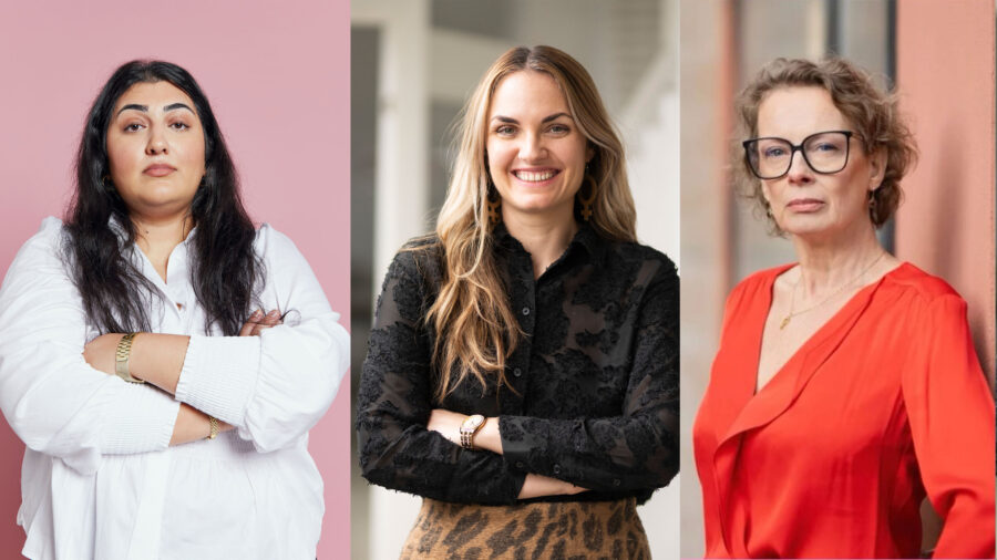 Adine Samadi, Roks, Susannah Sjöberg, SKO, Camilla Wagner, Fredrik Bremer-förbundet